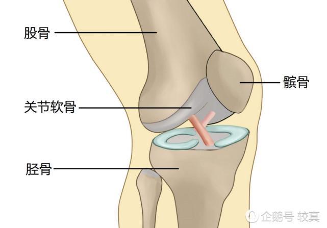 膝关节|一变天关节就痛，关节炎患者真的能“预报天气”吗？