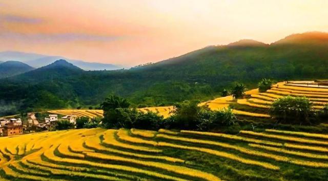 它不是大埔最有名的地方,而是最吸引小的编纂,台田位于大埔的坪山村