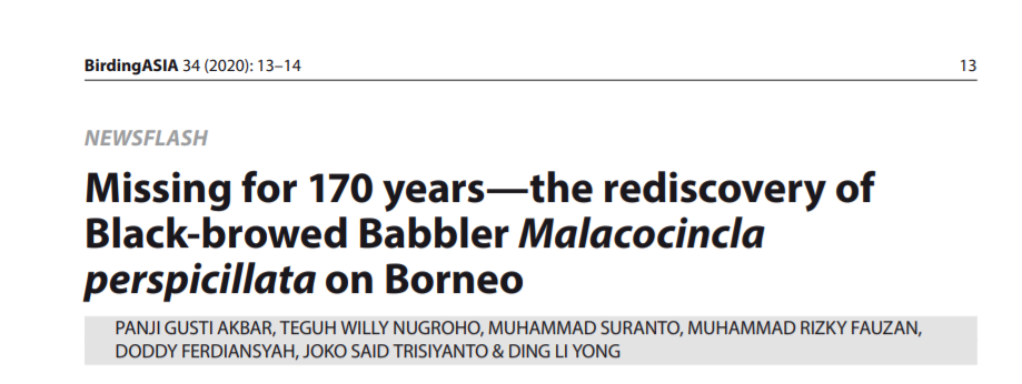 地球|进化论出错了？消失170年的画眉鸟重现地球，清晰照片已被拍到
