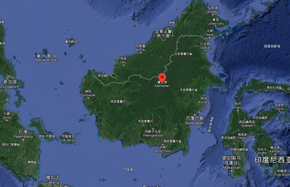 地球|进化论出错了？消失170年的画眉鸟重现地球，清晰照片已被拍到