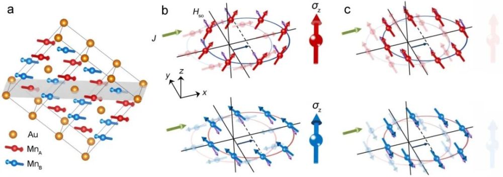 自旋|Nat.Mater.：反铁磁自旋霍尔效应——局域空间反演破缺之美
