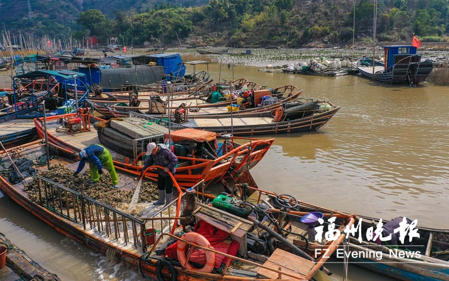 罗源海上村：幸福“落地”六十载