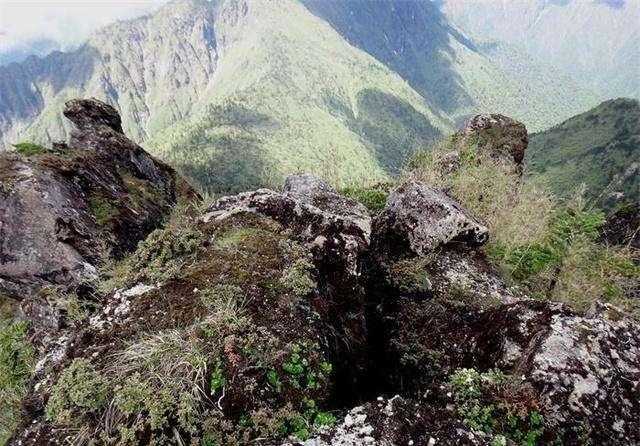 令人恐惧的野人山三万人进去三千人出来为了生存连尿都要喝