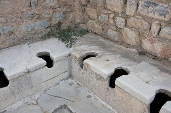 这也是为什么现代很多农村会把厕所修建在猪圈的原因