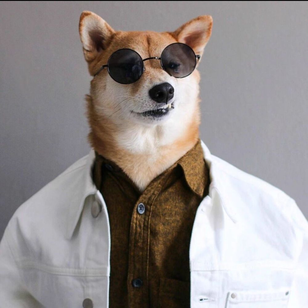 满满一大波狗狗头像有趣有灵魂的头像