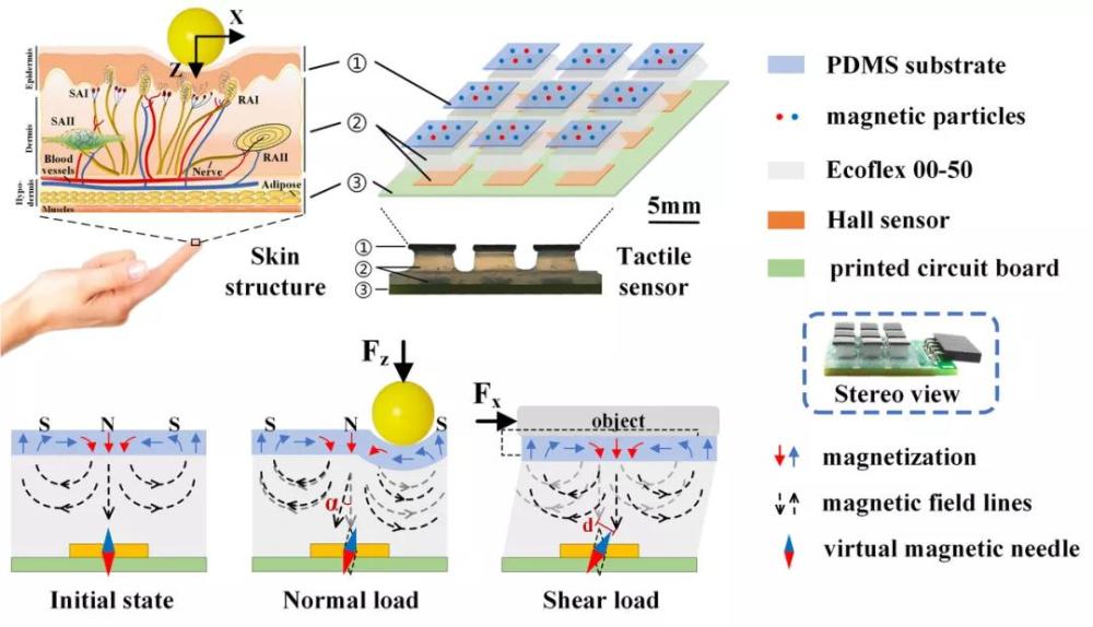 机器人|中国高校学者领衔研发新型磁性触觉皮肤，机器人可穿针引线夹鸡蛋