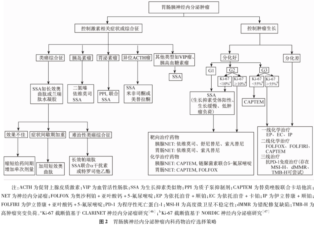 指南 共识 胃肠胰神经内分泌肿瘤诊治专家共识 2020 广州 腾讯新闻