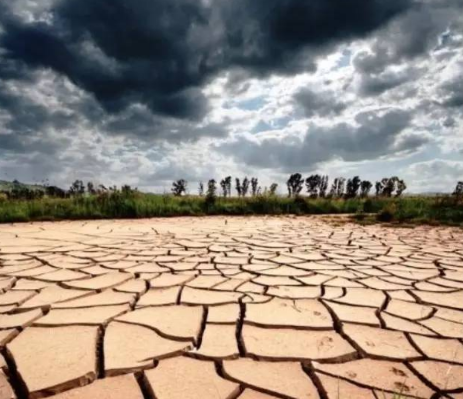 联合国曾在2020年预测,今年世界有两大难题,一是疫情一是饥荒