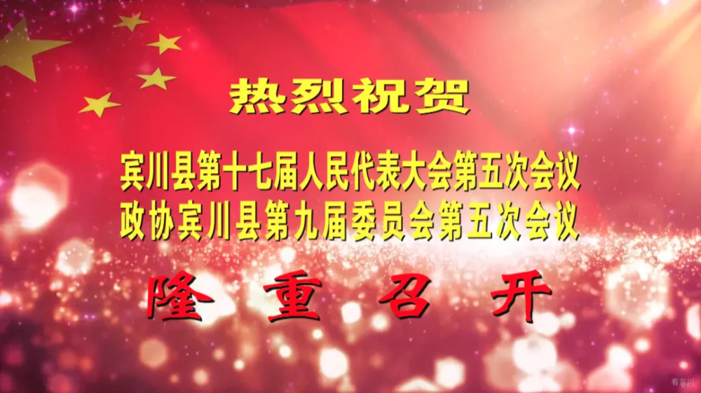 行摄宾川 夜赏紫玉兰闲庭看花开 腾讯新闻