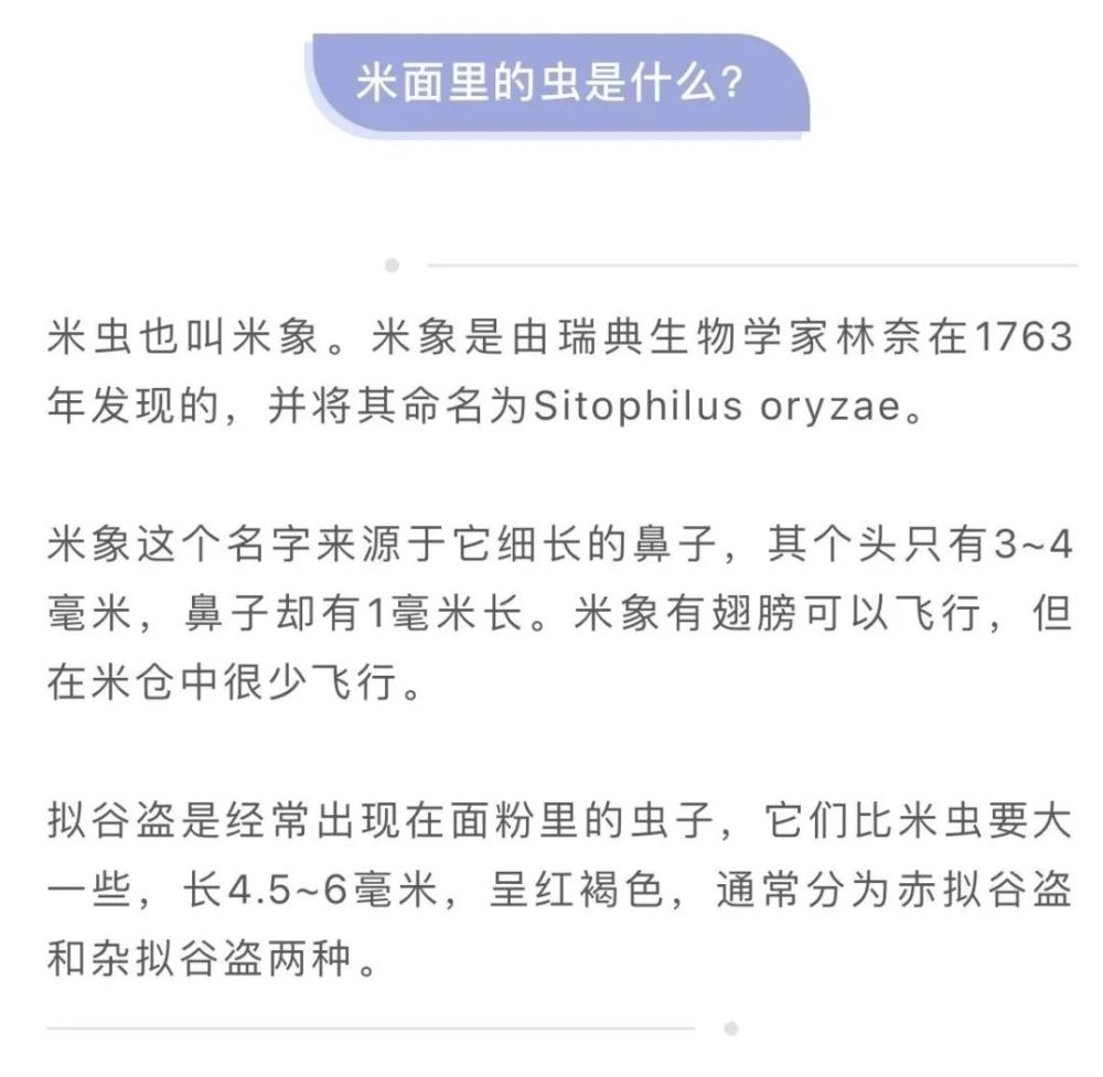 家里的米面为啥凭空出现小虫 吃了会不会传染疾病 腾讯新闻