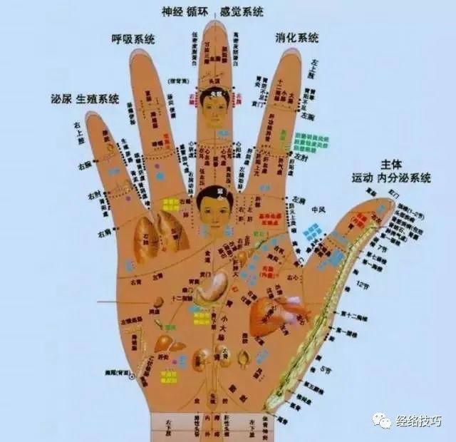 一个简单小动作,就能补气又养血!每天几分钟,效果特别好