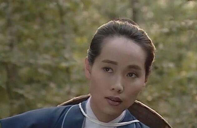 叶童演了许仙和他的儿子许仕林,而赵雅芝演了白素贞和胡媚娘.