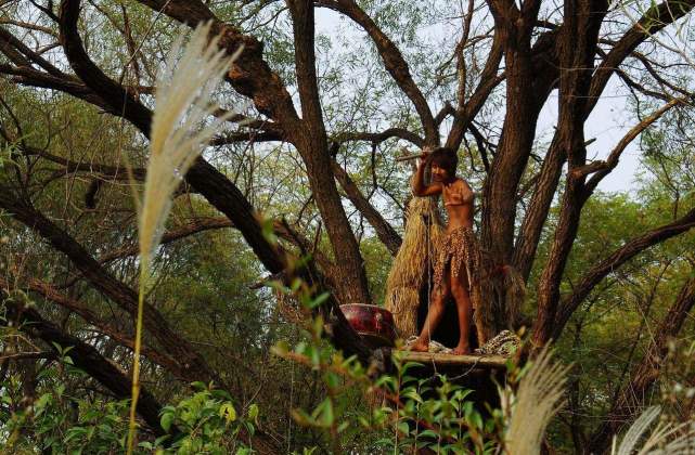 23年前中科院对猴娃进行尸检结果如何专家并非野人