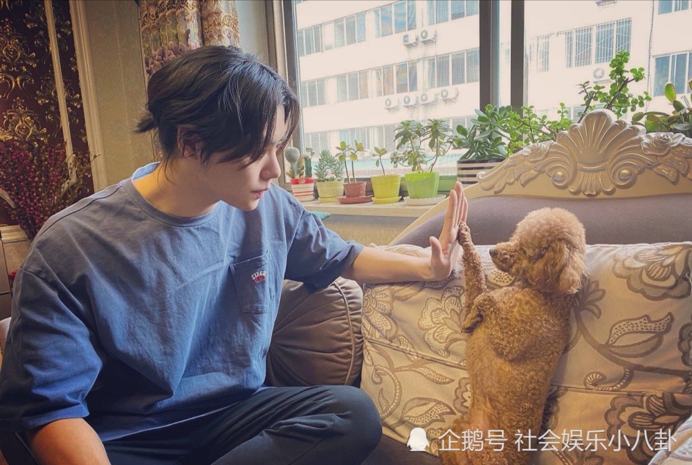 不愧是新晋流量肖宇梁首部电子刊销售破万