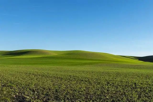 每日星座运势查询2021年2月27日(黑榜)