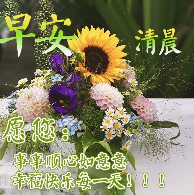 最新漂亮早安問候祝福動態圖片,早上好唯美祝福問候圖片