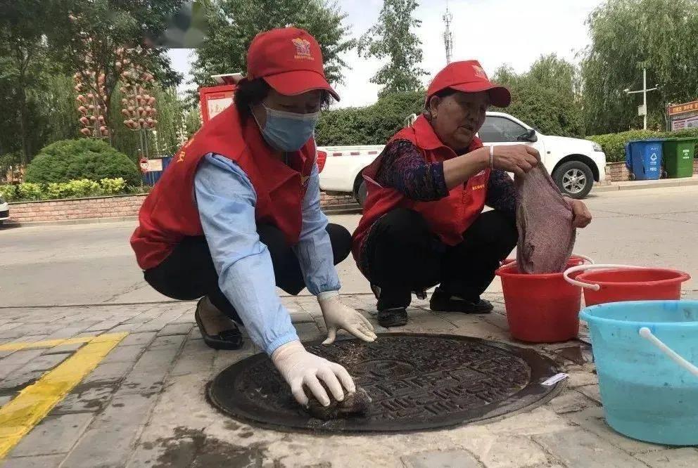 喜讯!宁夏王兰花荣获"全国三八红旗手标兵"荣誉称号