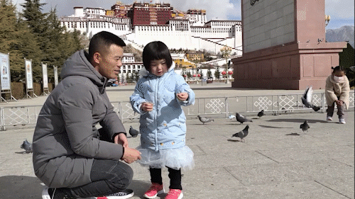 第一次高原团圆,4岁的果果不舍离开|高原|汪成旺|果果