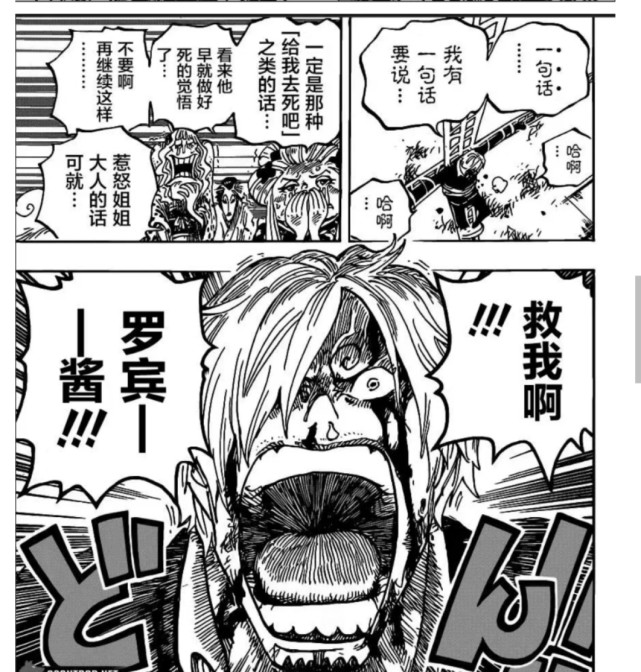 海贼王1005话更新大和桃之助快藏到我衣服里来