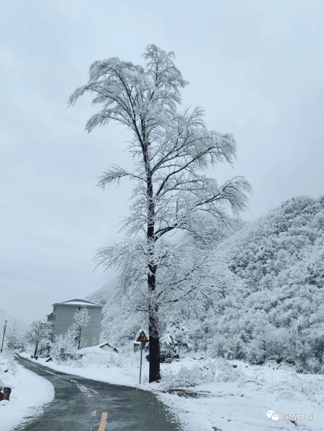 (摄影:孙军(摄影:罗俊)山阳南宽坪镇湖坪村(摄影:孟思兰)编 辑:孙