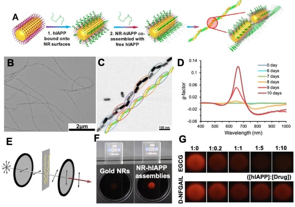 吉林大学|吉林大学刘堃教授《Science》！