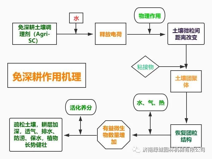 园林植物|影响根系生长的因素-只需三招让园林植物生长健壮