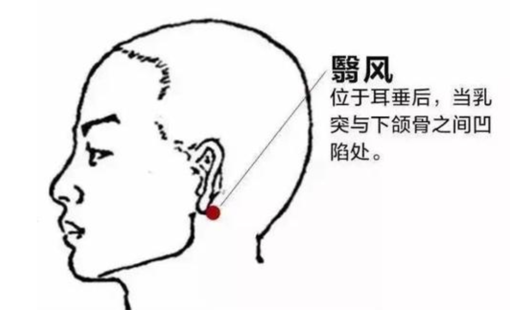 风池穴位于后颈部,在后头骨下,两条大筋外缘陷窝中,相当于耳垂齐平.