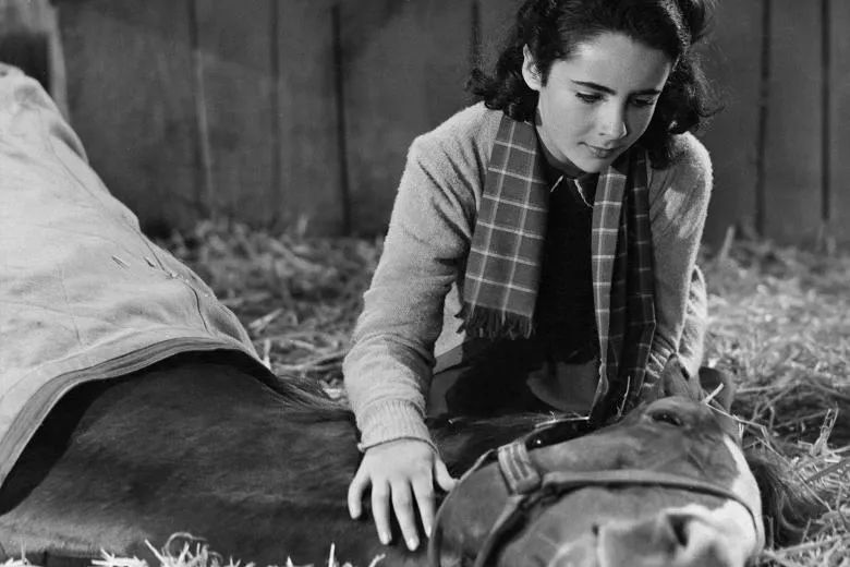 12岁,泰勒终于凭一部《玉女神驹》成为炙手可热的小童星,一下子接到