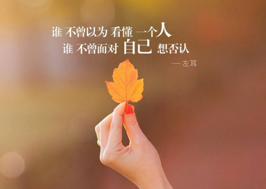 说说心情短语人生感悟精选2021 不要给自己留下了