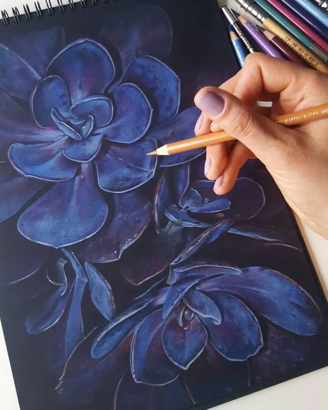 在黑纸上作画原来也这么好看,喜欢的同学们赶紧试试