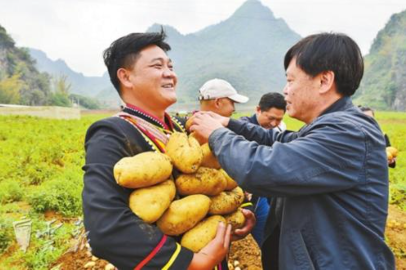 茅台酒|刚喷完“茅台院士”，为啥力挺“土豆院士”？网友喷的是“专家”