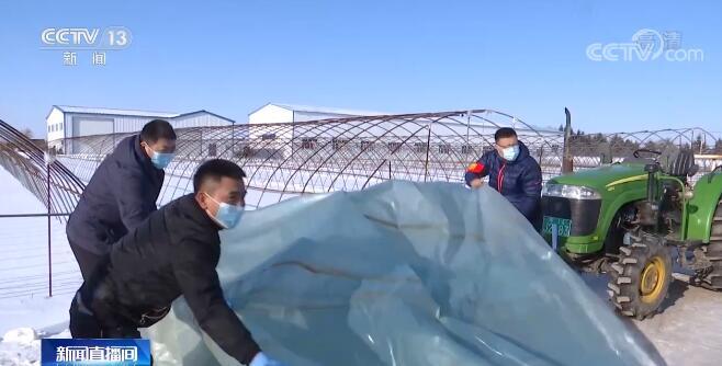 北大荒集团|搭建大棚 备农资 黑龙江北大荒垦区积极备战春耕