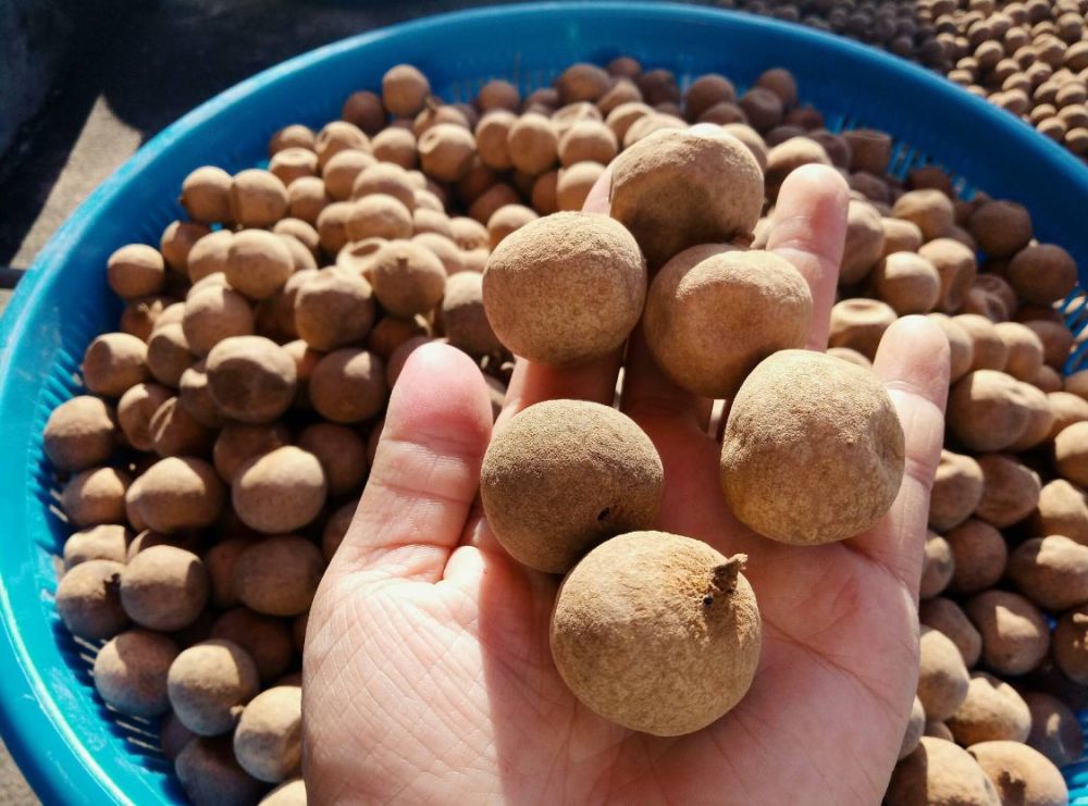 心脏|这3种水果滋补心脏，这2种食物养肝护肝，为了健康，不妨多吃