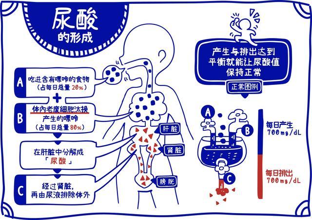 痛风|降尿酸最好的食物是什么？