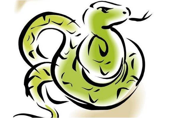 揭秘1965年巳蛇的终身寿命晚年应该依靠谁家里有属蛇速看