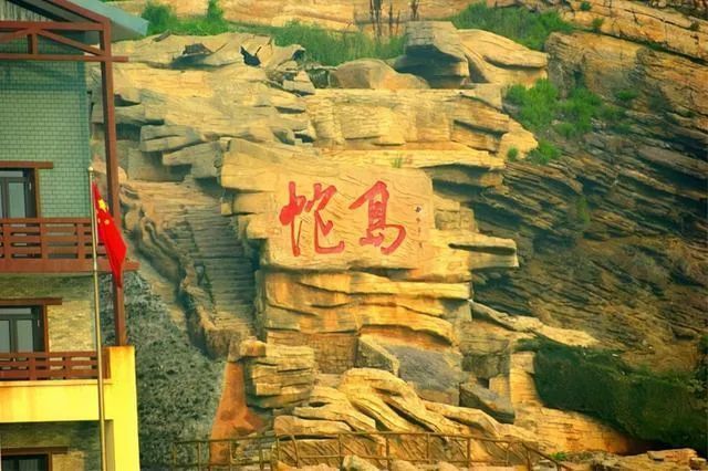 药酒|蛇泡在酒里12个月，开盖后窜出咬死人，为什么蛇泡这么久不死？