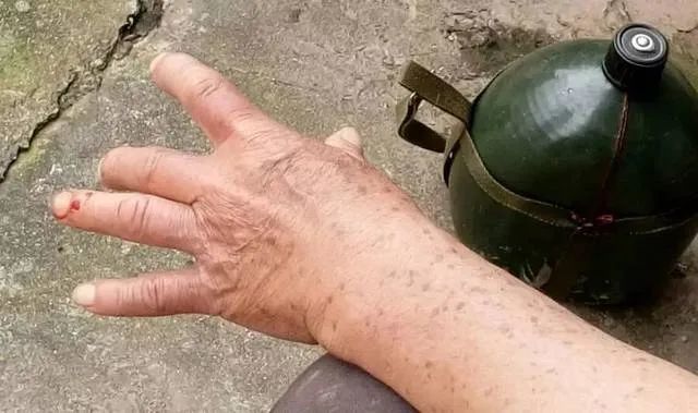 药酒|蛇泡在酒里12个月，开盖后窜出咬死人，为什么蛇泡这么久不死？