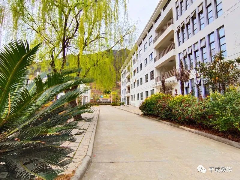 平武县水晶初中▲发现不一样的美平武县七一龙安初级中学校▲平武县