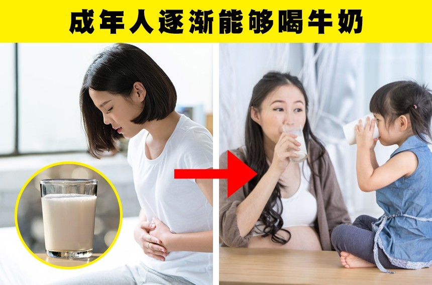 牛奶|表明人类依然在进化之中的6个证据