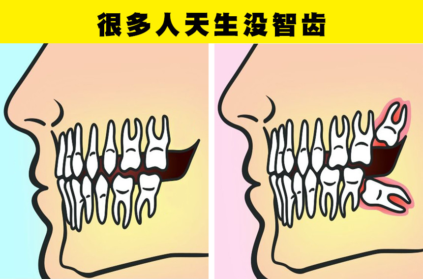 牛奶|表明人类依然在进化之中的6个证据