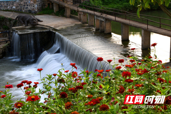 乡村振兴梓门桥镇人勤春来早力促开门红