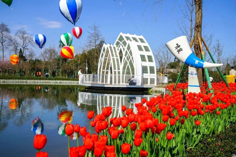 離什邡城區僅10分鐘車程 就藏著一個花海——時光花境藝術公園 大面積