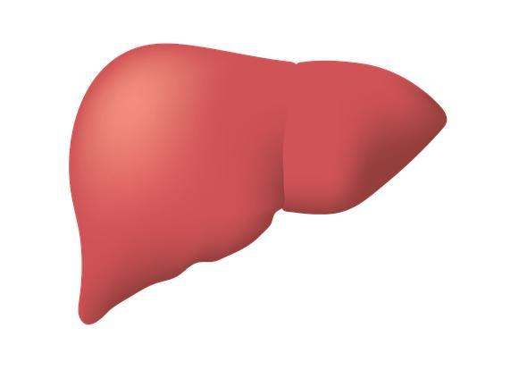 hbsag|上干扰素后，治疗效果怎么看？教您如何通过定量HBsAg判断疗效？