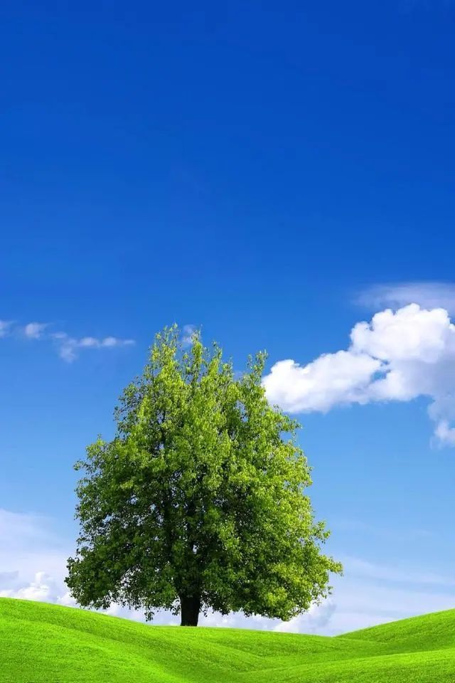 早上发的精美句子,阳光明媚,暖人心窝!_腾讯新闻