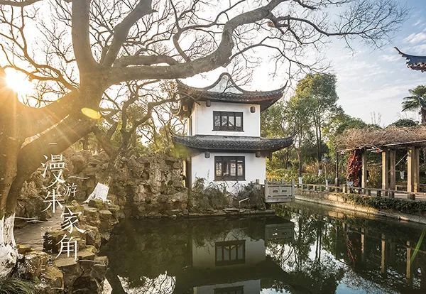 上海市崇明区  醉美乡村观光旅游