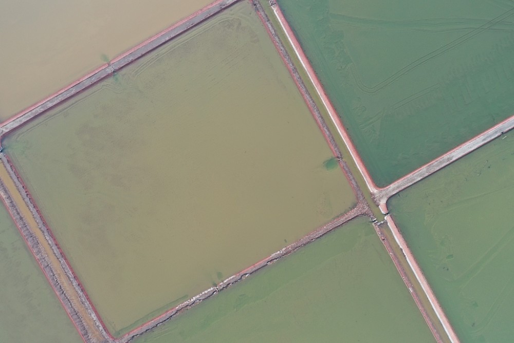 山东潍坊滨海盐田因颜色神似茶卡盐湖成为网红打卡地