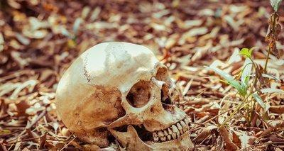 大雪埋冤魂麦田惊现森森白骨一场诊所父杀人子毁证的阴谋