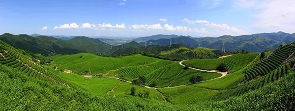 開化縣城根宮佛國文化旅遊區益龍芳開化龍頂茶文化園醉荷潭頭古田澆