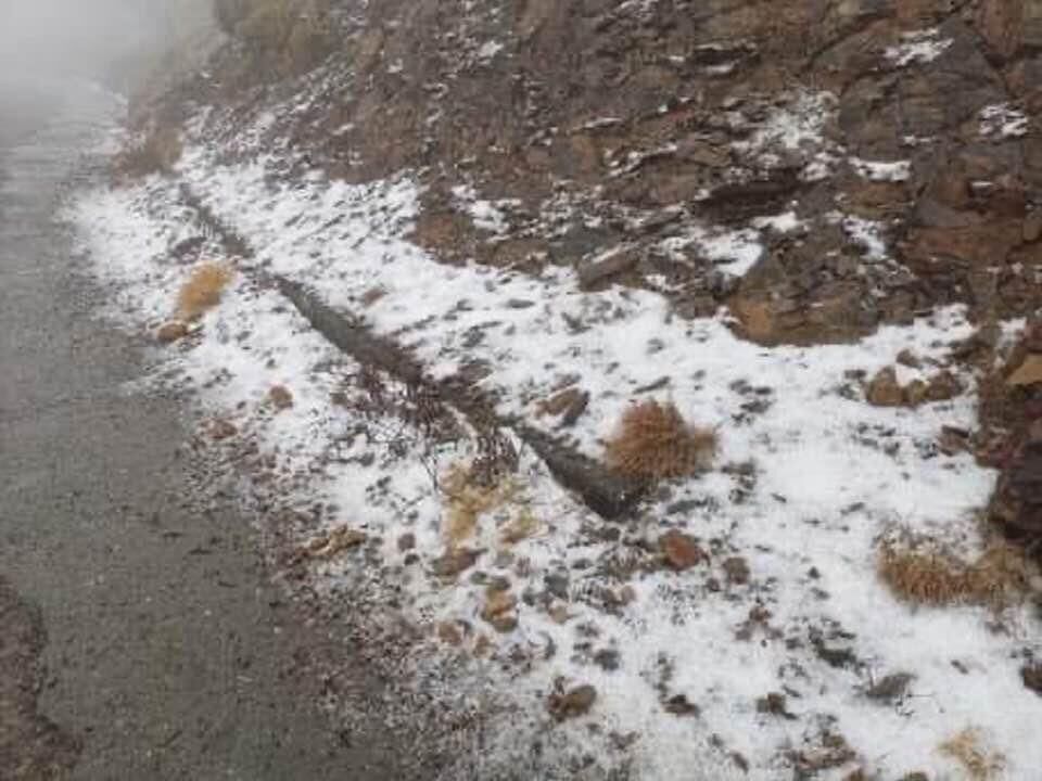 台湾|倒春寒突袭南方，台湾已经下雪！权威预报：准备夏装很快回暖