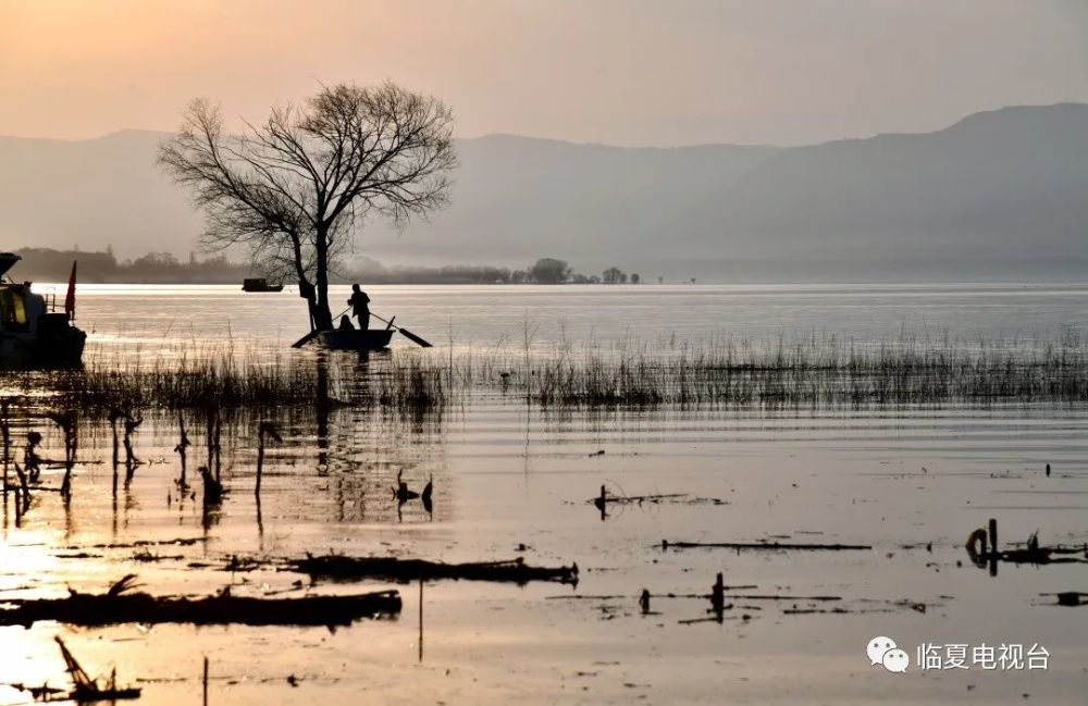 临夏风光集萃四十一午后之东干码头